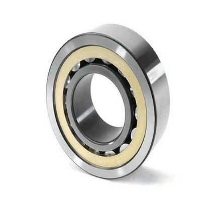 ICAN圓柱滾子軸承-美國艾肯圓柱滾子軸承